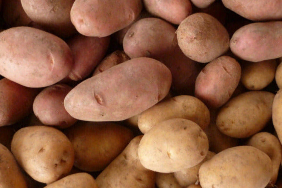 Patate di montagna